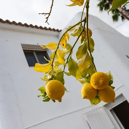 Casa El Daals * Moraira